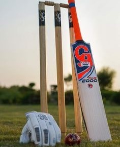 Cricket Kit